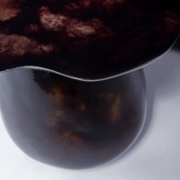 <a href=https://www.galeriegosserez.com/gosserez/artistes/donnersberg-emma.html>Emma Donnersberg</a> - Organika
